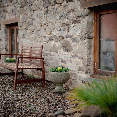 Stunning Converted Granary In Heart Of St Davids Exterior photo